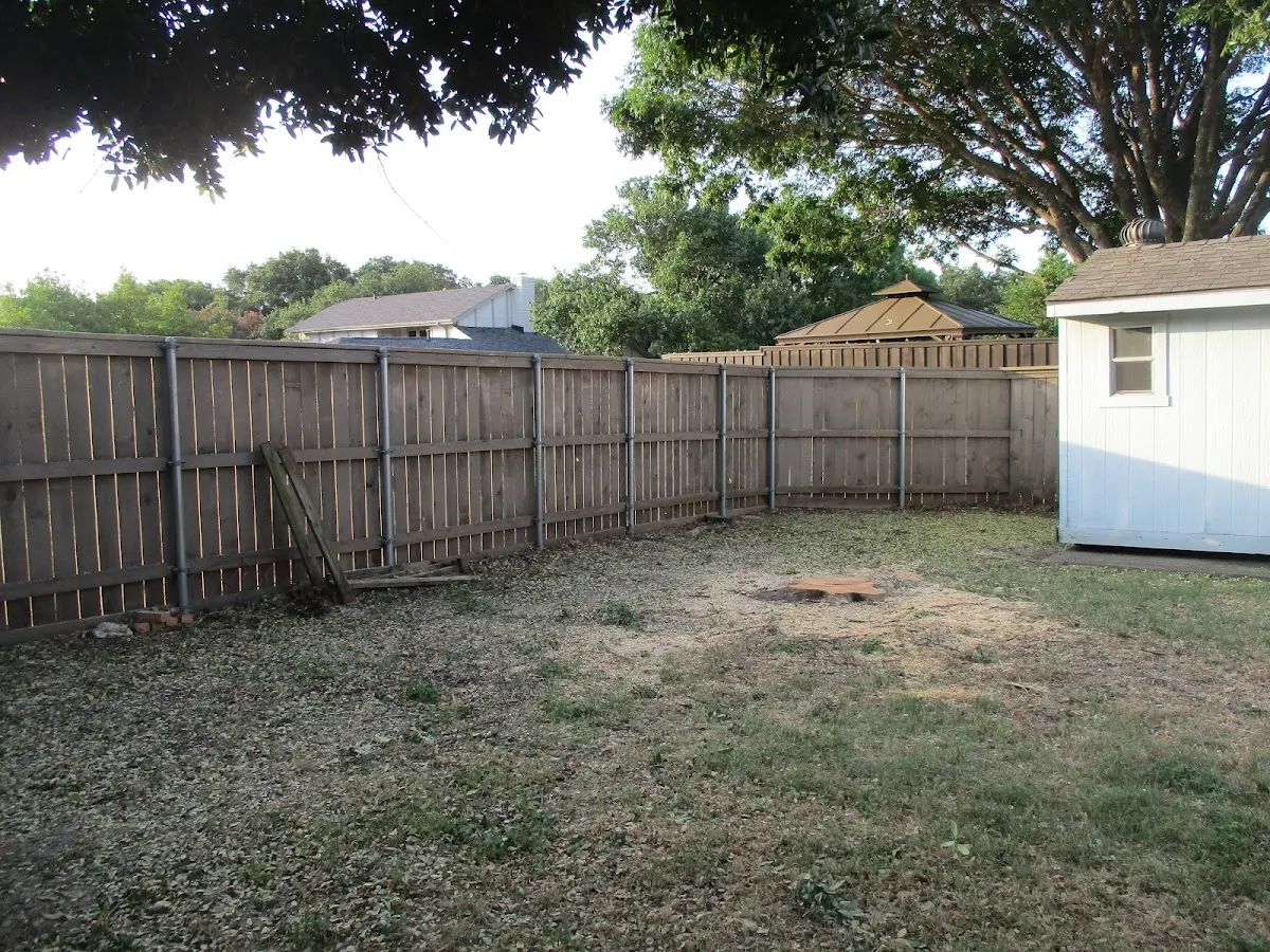 Cleared yard after professional tree removal in Stratford
